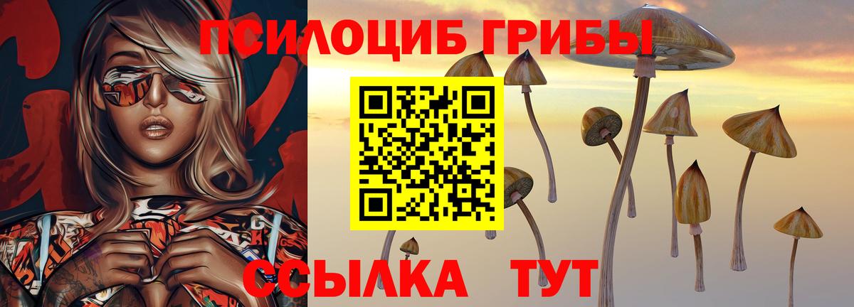 Галлюциногенные грибы Cubensis  Галлюциногенные грибы Psilocybine cubensis  Вход с VPN  Ногинск 